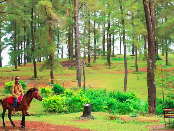 gambar wisata